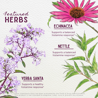 Kick-Ass Allergy Seasonal Rescue For Pregnancy