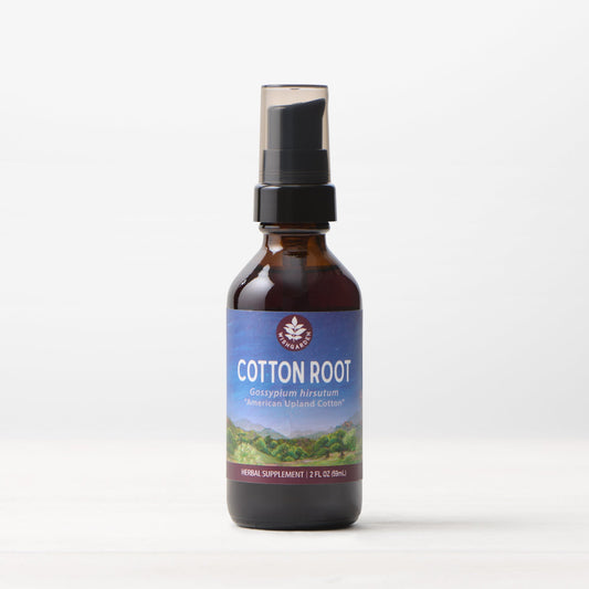 Cotton Root