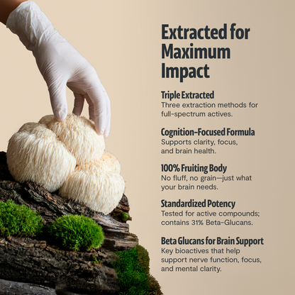 Lion's Mane Mushroom Extract Powder