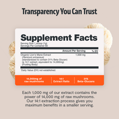 Lion's Mane Mushroom Extract Powder