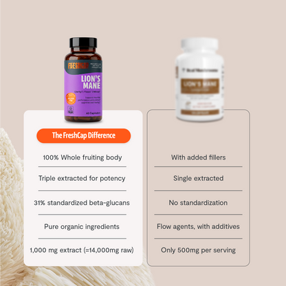Lion's Mane Mushroom Extract Capsules
