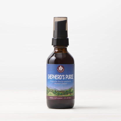 Shepherd's Purse