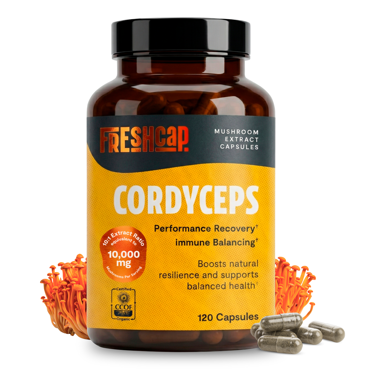 Cordyceps Mushroom Extract Capsules