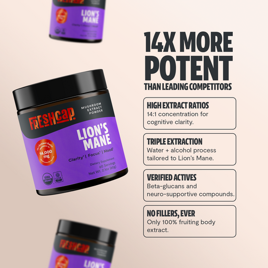 Lion's Mane Mushroom Extract Powder