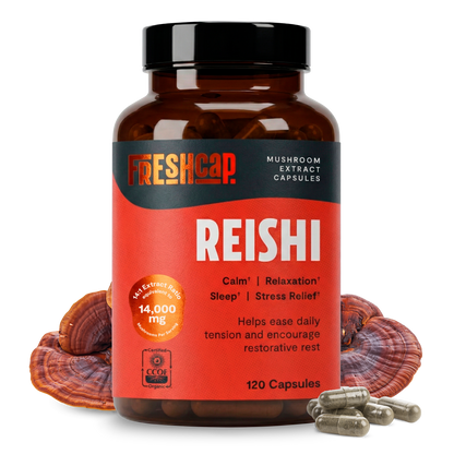 Reishi Mushroom Extract Capsules