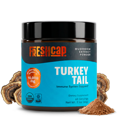Turkey Tail Mushroom Extract Powder