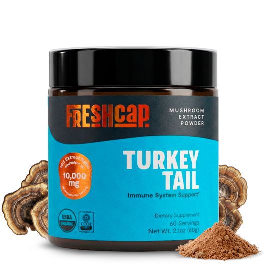 Turkey Tail Mushroom Extract Powder